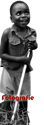 vai alla galleria fotografica Botamona