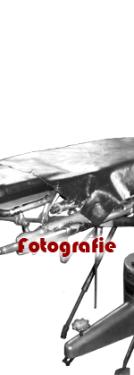 vai alla galleria fotografica 