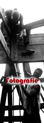 vai alla galleria fotografica 