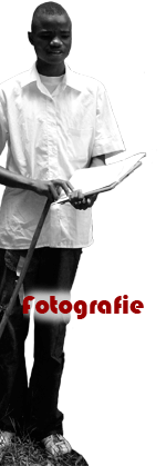 vai alla galleria fotografica 