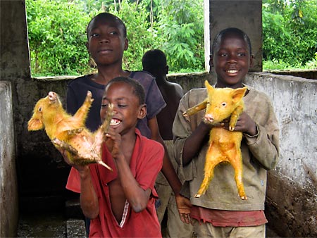 "I più grandicelli hanno cura degli animali dell'orfanotrofio" Djuma