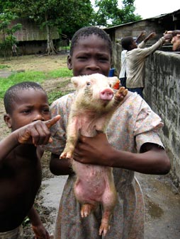 "Marianna e Hugues con un maialino" Djuma